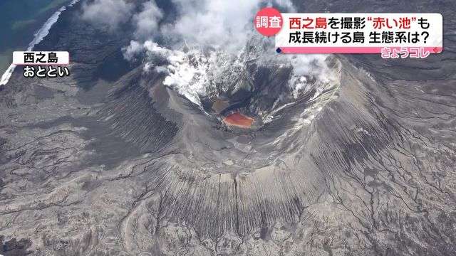 「変化が早い」成長続ける西之島…70種類以上の生物を確認　“赤い池”も撮影（日テレNEWS） - Yahoo!ニュース