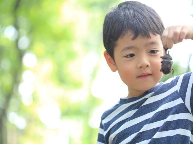 幼児や小学生が残酷な行動をするのはなぜ？ 理由＆親のとらえ方も紹介 (いこーよ)