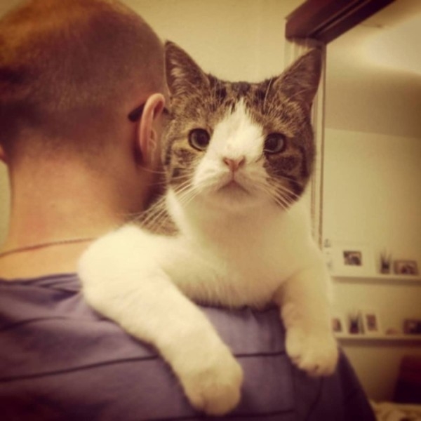 「俺は一体何やってるんだ」ダウン症の子を産む…決断した家族の思い