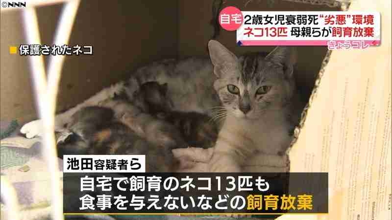 札幌女児衰弱死　飼い猫13匹も飼育放棄