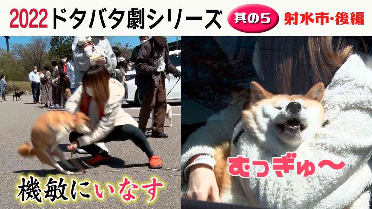 画像を貼ってこの中で一番好きなのは？と聞いてみるトピ
