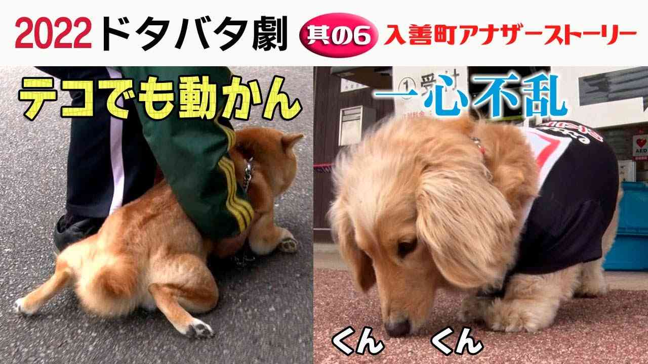 画像を貼ってこの中で一番好きなのは？と聞いてみるトピ