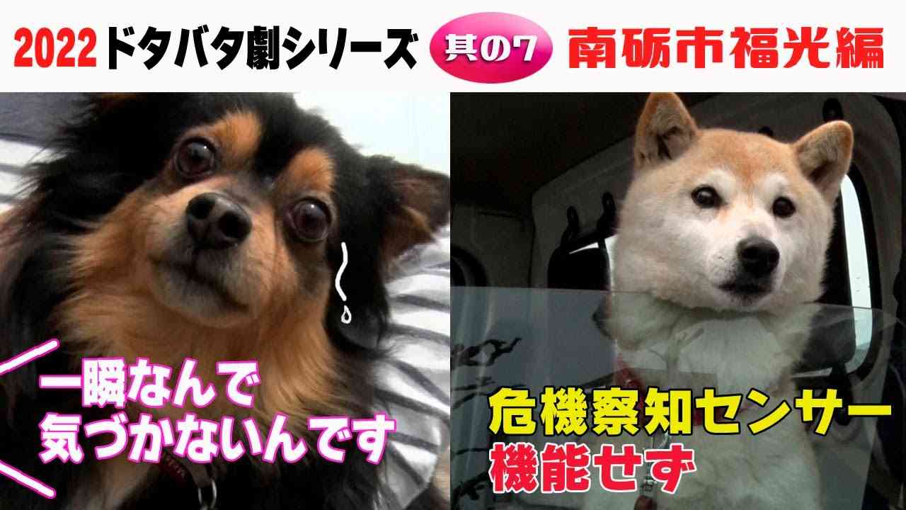 画像を貼ってこの中で一番好きなのは？と聞いてみるトピ