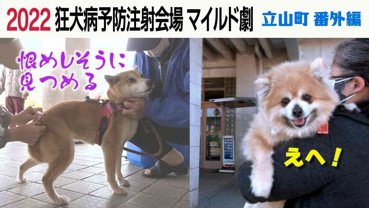 画像を貼ってこの中で一番好きなのは？と聞いてみるトピ