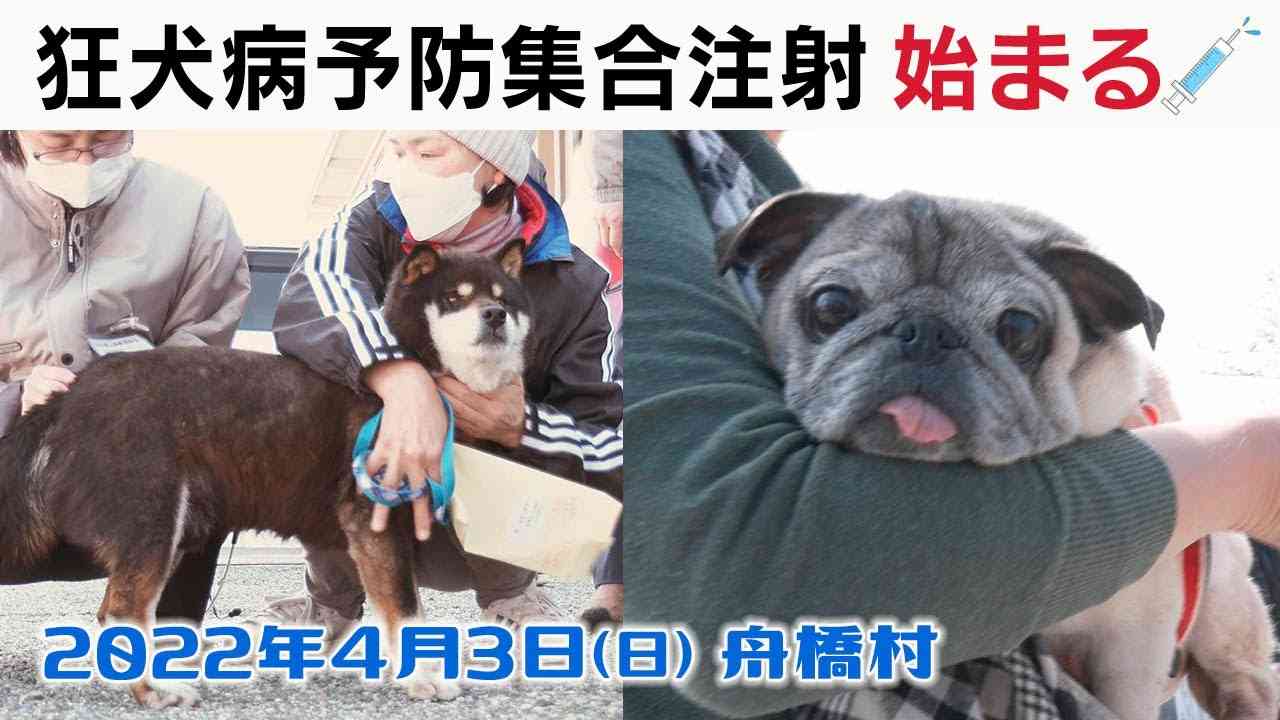 画像を貼ってこの中で一番好きなのは？と聞いてみるトピ