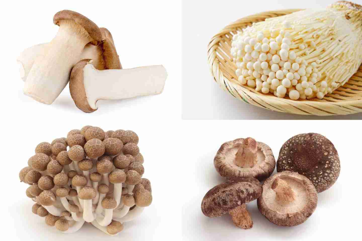 「エリンギ・しめじ・えのき・椎茸」一番好きなのは？それぞれの推しレシピを調査 | kufura（クフラ）小学館公式