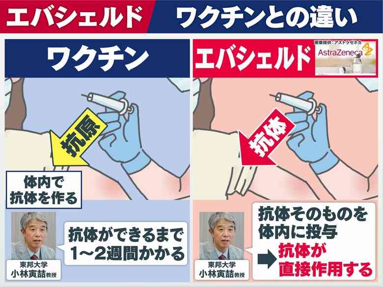 国内初の“コロナ予防薬”アストラ製「エバシェルド」ワクチン不可の人も対象