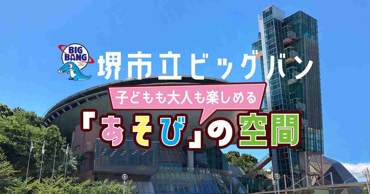 屋内遊び場 堺市立ビッグバン