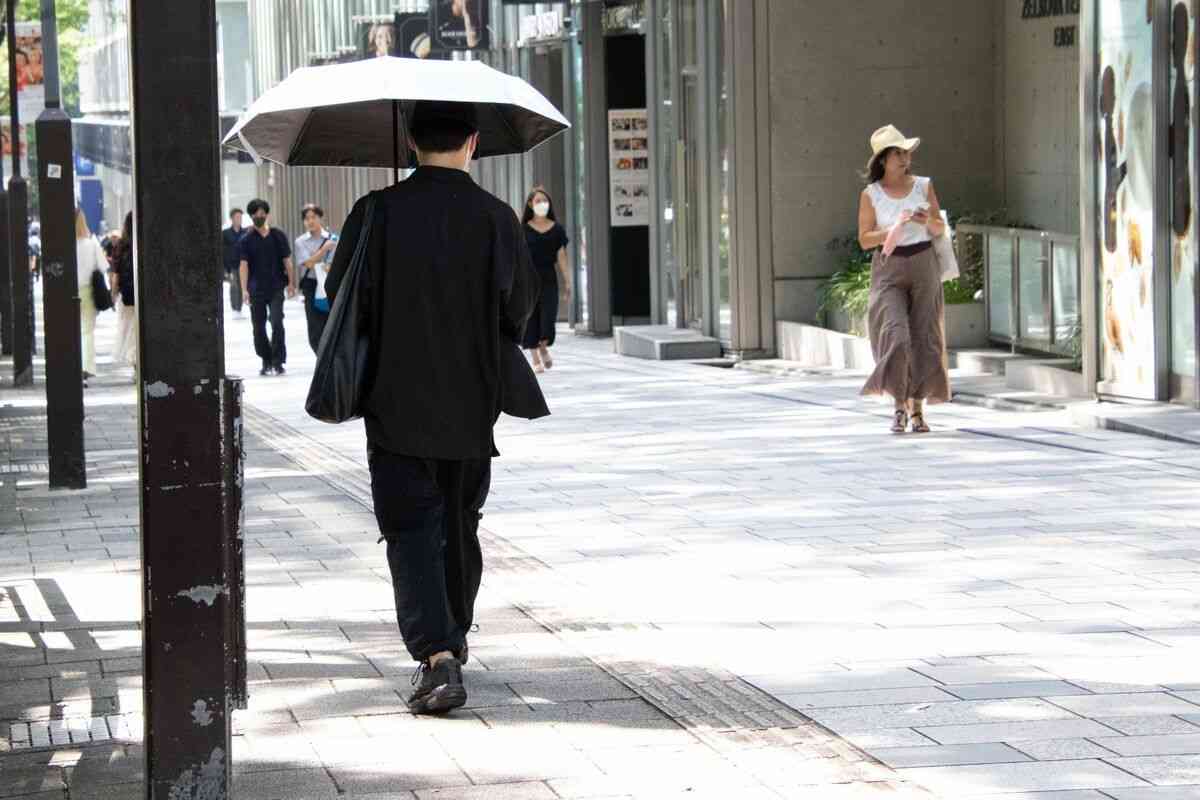 「男性の日傘」は本当に流行っているのか？