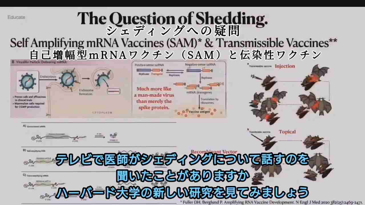 遺伝子組み換え影響　コロナワクチンにスヒリチュアル？な意味合いあるか？ - ニコニコ動画
