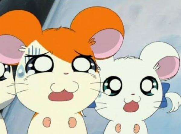 女の友情はハムより薄い