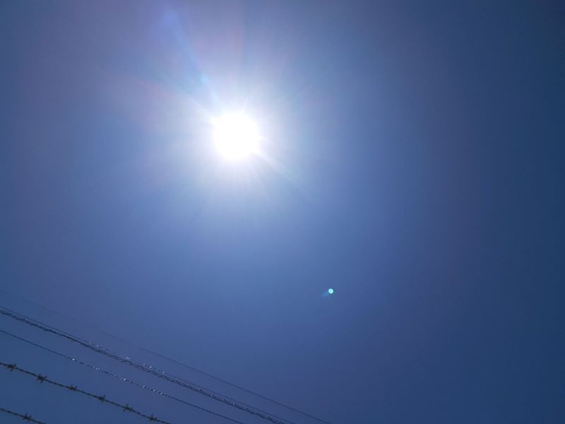何があった？車内で眠る10代男性「起こさないで」　7時間後に熱中症で死亡　沖縄県が注意喚起 | アーカイブ記事 | 沖縄タイムス＋プラス