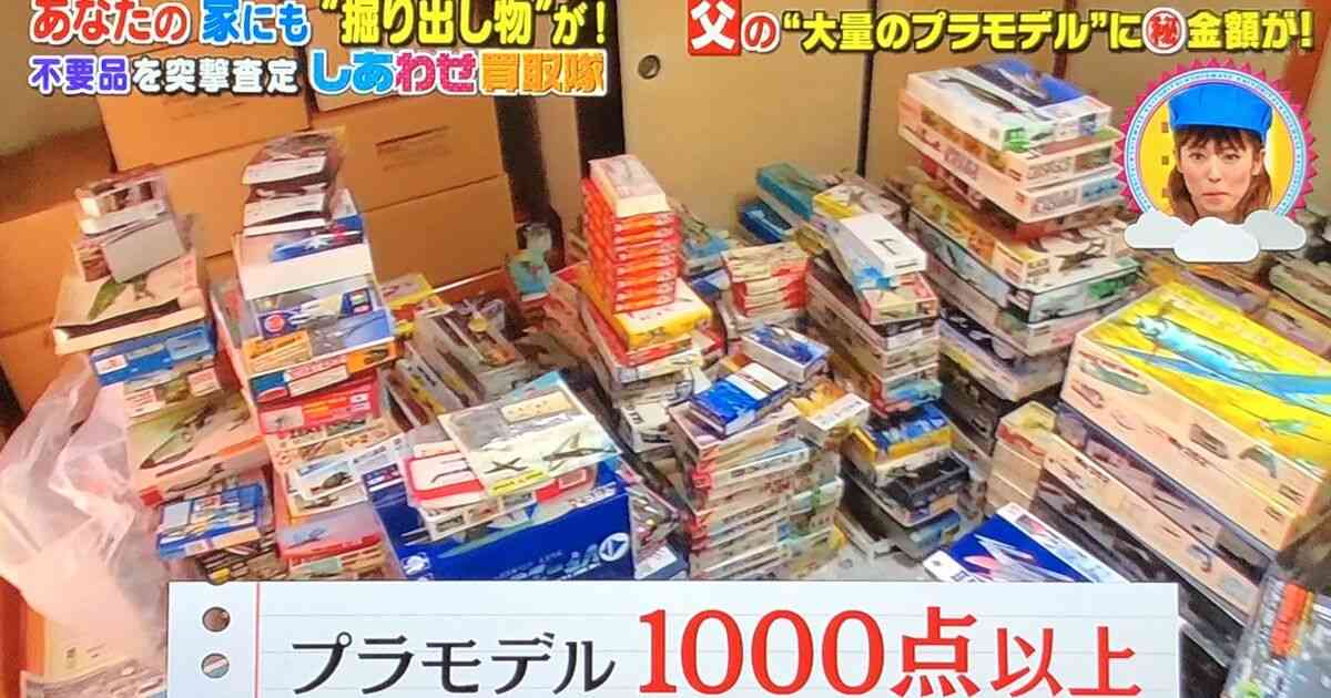 「父の“積みプラ”を売って旅行に行きたい」という家族に、ご本人が前向きでも同情が集まる #しあわせ買取隊 - Togetter
