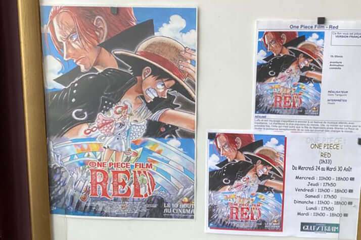 フランスで「ONE PIECE」上映中に観客が大暴れ…　お国柄？日本アニメの変わった“観られ方”（抜粋） | デイリー新潮