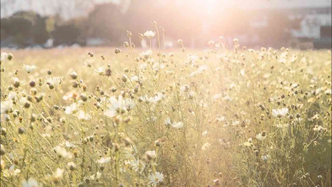 サティ: ジムノペディ 第1番［ナクソス・クラシック・キュレーション #切ない］ - YouTube