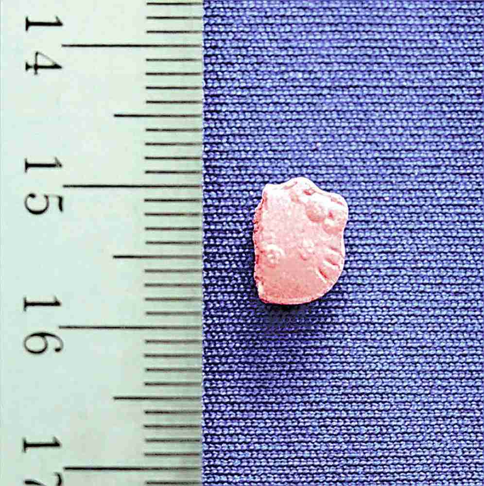 人気キャラクターを模した錠剤、実は覚醒剤…容疑の男「やばいものと思っていたが」