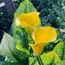 雨雲 on Twitter: 