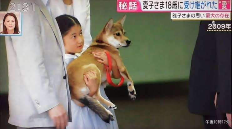 有名人と動物が一緒に写ってる画像を貼るトピ