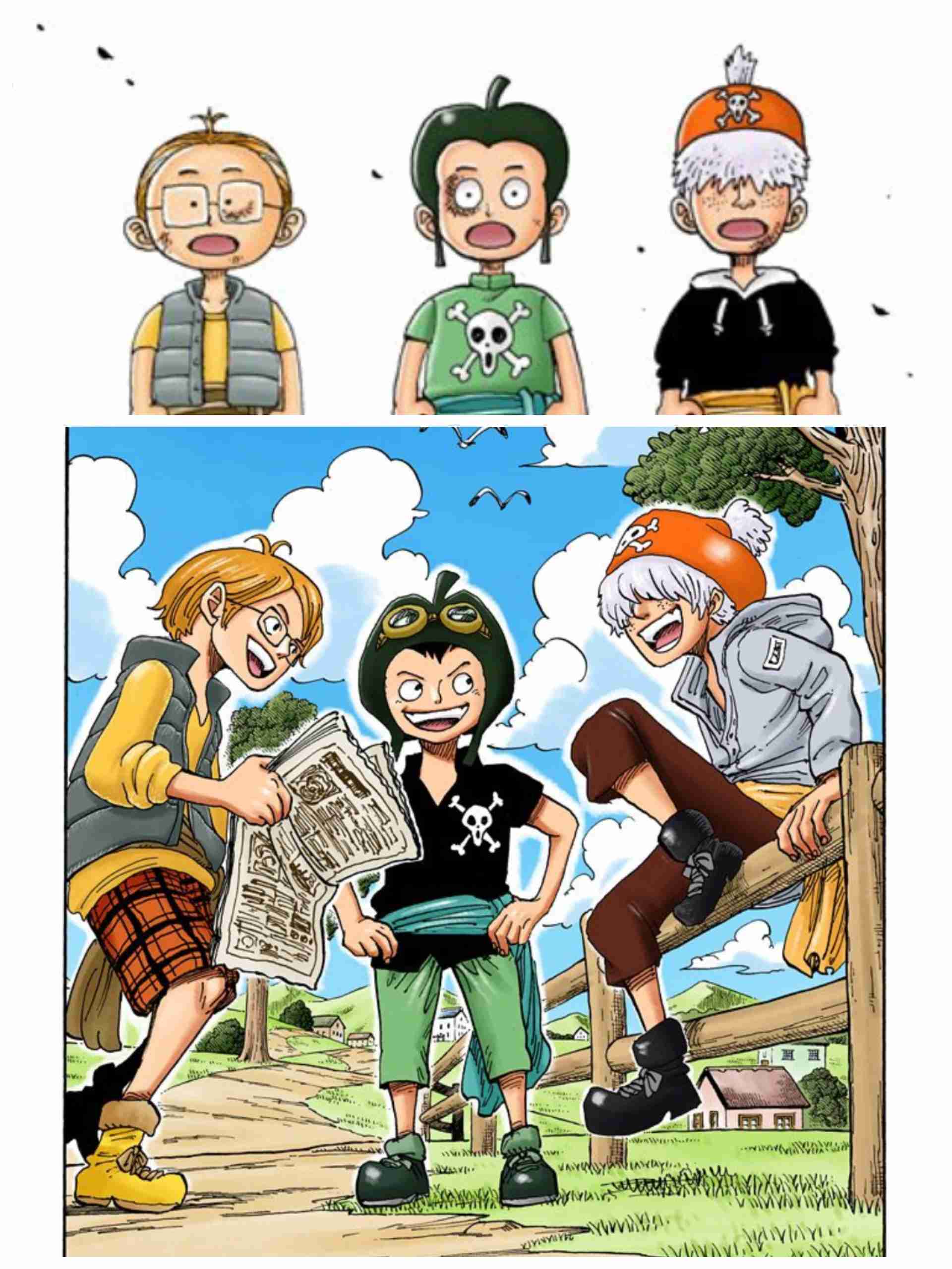 【ネタバレ注意】初期にワンピース脱落した人が知ったら驚きそうなことPart3【ONE PIECE】