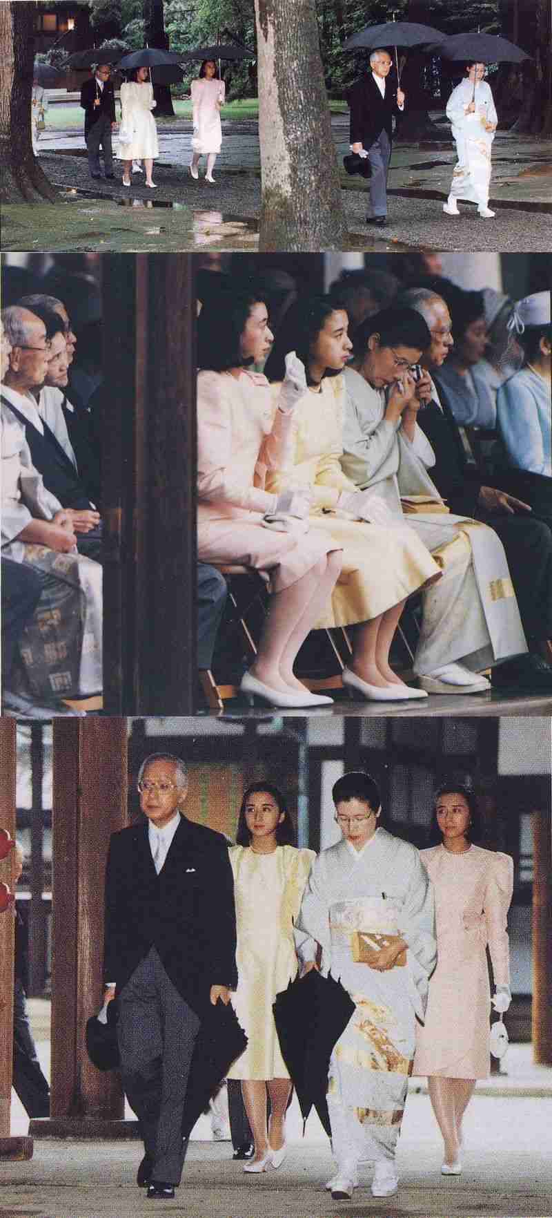 パールの写真見せて下さい！