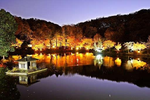 町田の紅葉5選！絶対に押さえたい名所をご紹介♪ | 小田急のくらし | 小田急不動産株式会社