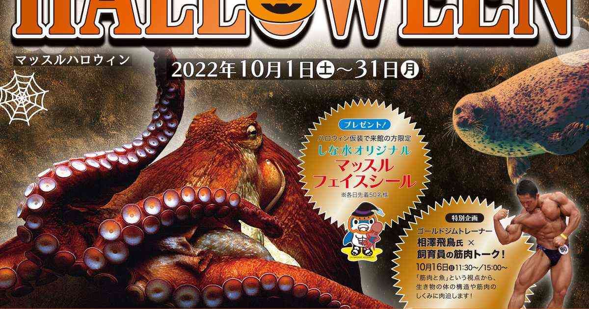 しながわ水族館で「マッスルハロウィン」開催　筋肉テーマのイベントに驚きの声「脳の処理が追い付かない」 - イザ！