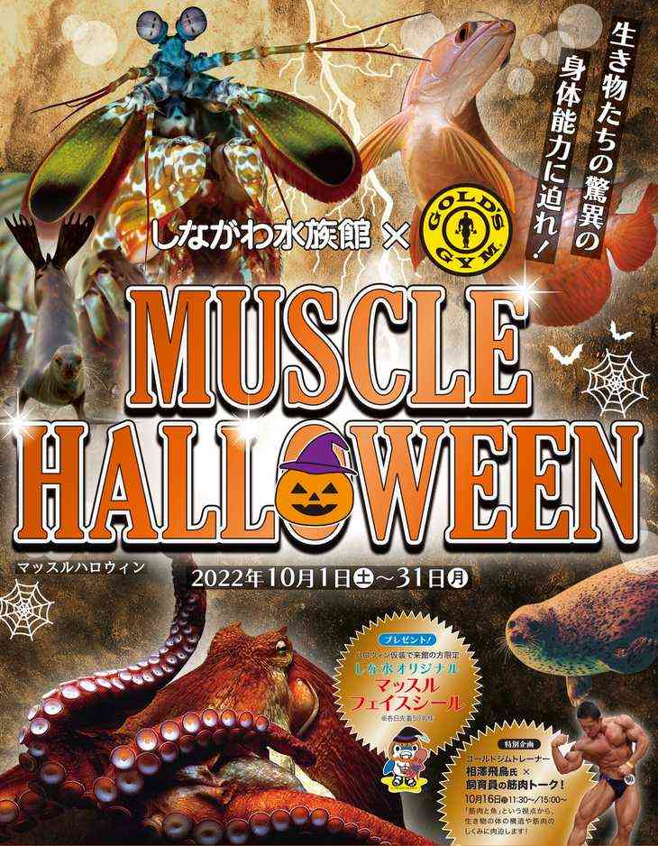 しながわ水族館で「マッスルハロウィン」開催　筋肉テーマのイベントに驚きの声「脳の処理が追い付かない」