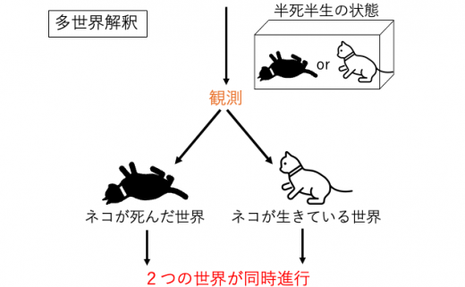 世の中の科学的根拠が無い物