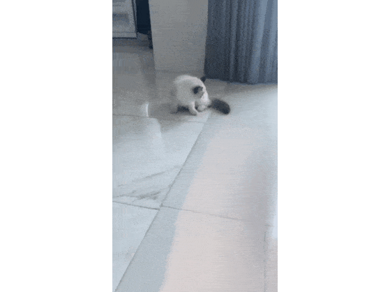 【定期】2gether the seriesについて話そうPart30【タイBL】