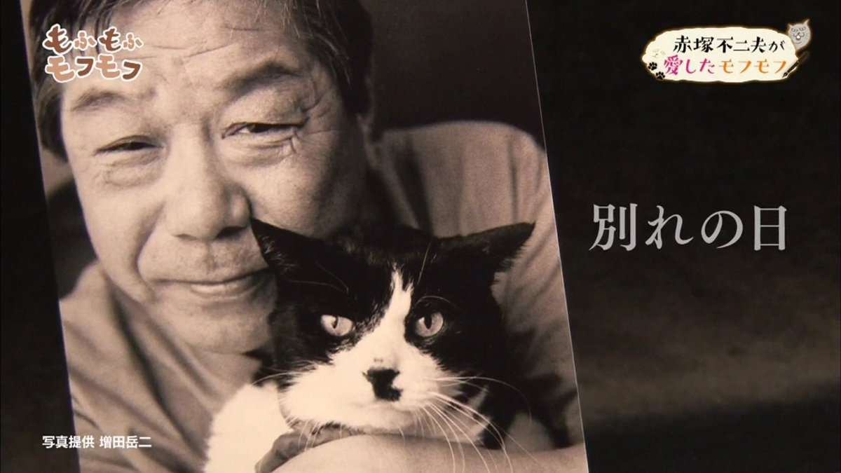 有名人と動物が一緒に写ってる画像を貼るトピ