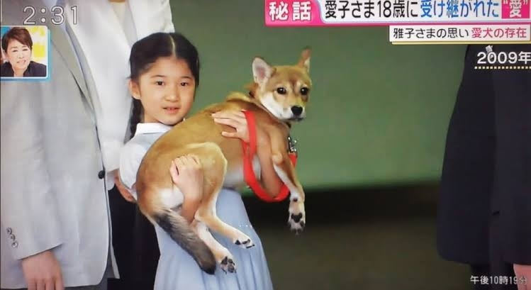有名人と動物が一緒に写ってる画像を貼るトピ