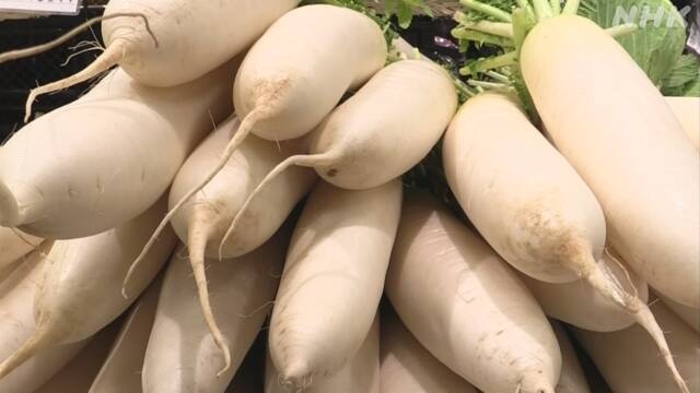 大根やねぎ 高値で推移の見通し 8月の大雨の影響 農林水産省 | NHK | 物価高騰