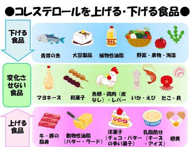 チーズを食べてコレステロールに注意する方法