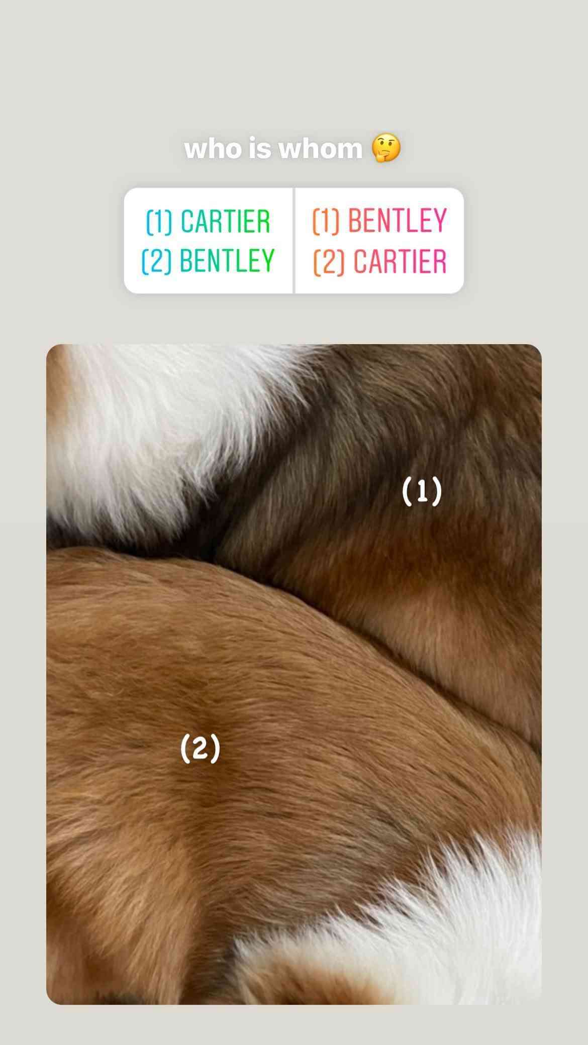 【定期】2gether the seriesについて話そうPart30【タイBL】