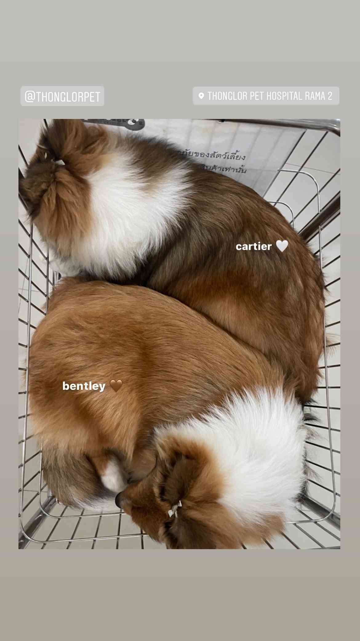 【定期】2gether the seriesについて話そうPart30【タイBL】