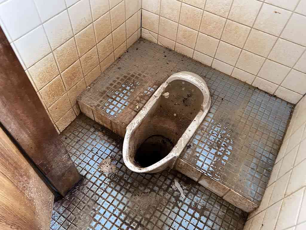 動物に好かれる人・嫌われる人