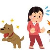 動物に好かれる人、嫌われる人って何か特徴がありますか？主は犬を飼っていて餌や... | ガールズちゃんねる - Girls Channel -