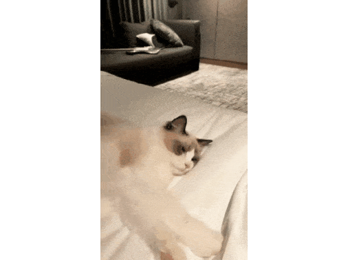 【定期】2gether the seriesについて話そうPart30【タイBL】