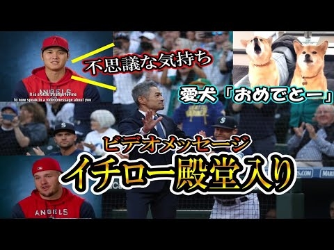 【イチロー】大谷翔平、殿堂入りしたイチローにメッセージ！まさかの愛犬からもメッセージがｗOhtani - YouTube
