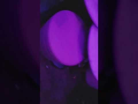 楽天三木谷　パーティー映像第三弾 - YouTube