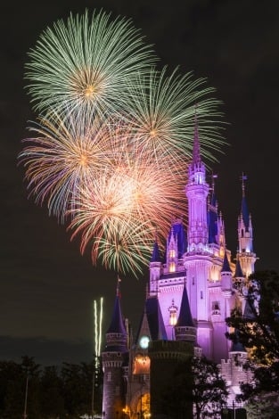 3年ぶり『ディズニー・クリスマス』開催 クリスマスツリー“復活”、リルリンリンは2年連続登場