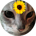 三月兎(手洗いうがい疫病退散) on Twitter: 