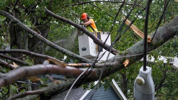 Trudeau says military will aid Nova Scotia cleanup, cancels trip to Japan | CBC News