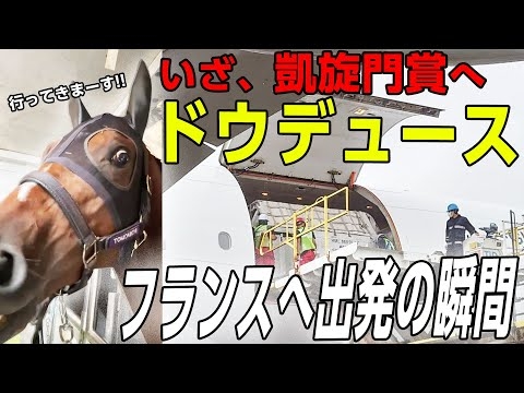 【ドウデュース 凱旋門賞へ】フランス出発の瞬間 - YouTube