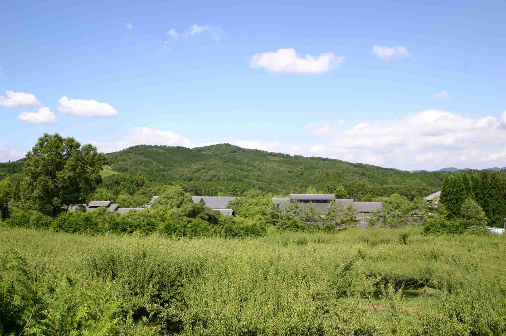 香煎茶｜叶 匠壽庵