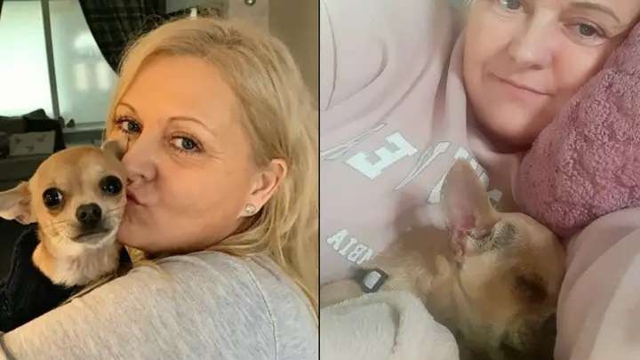 就寝中、飼い犬に顔の上でウンチをされ、入院した女性が話題に