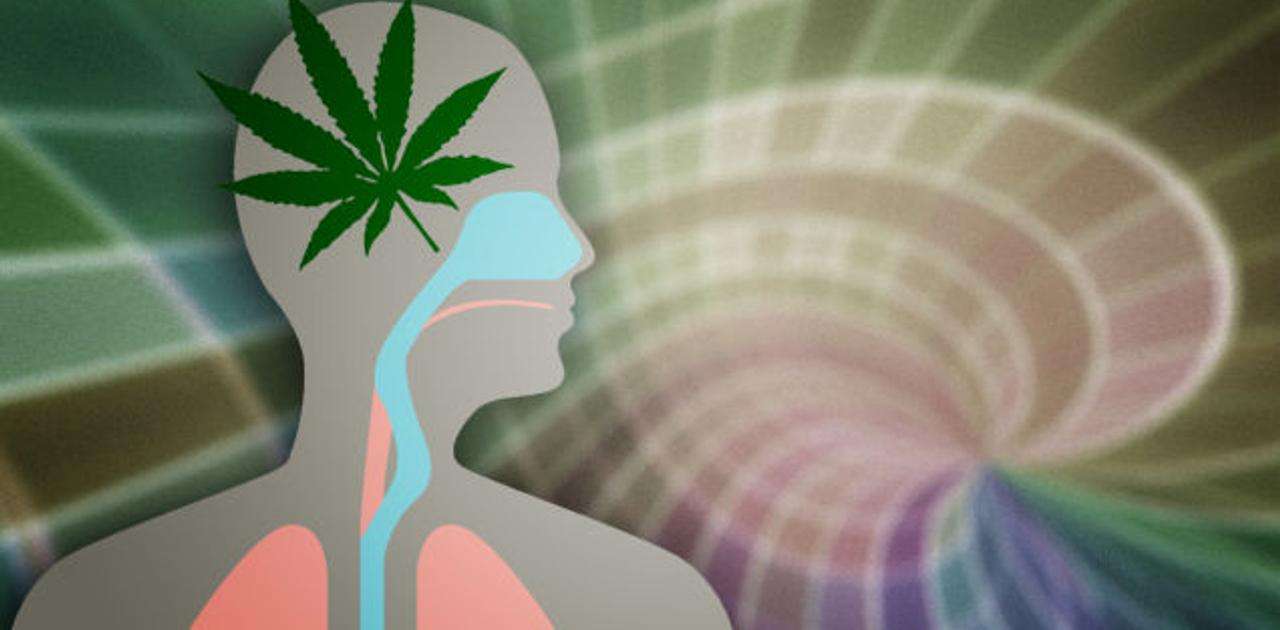 マリファナ（大麻）は脳と体にどんな影響を与えるのか？その副作用は | ライフハッカー・ジャパン