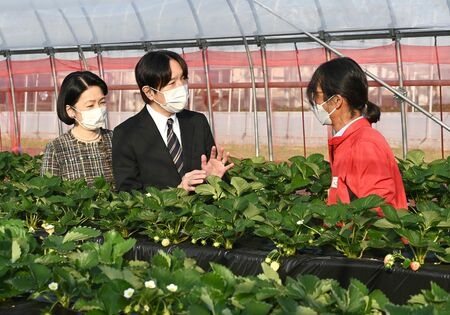 秋篠宮ご夫妻、栃木県を訪問　特別支援学校やイチゴ栽培視察（下野新聞SOON） - Yahoo!ニュース