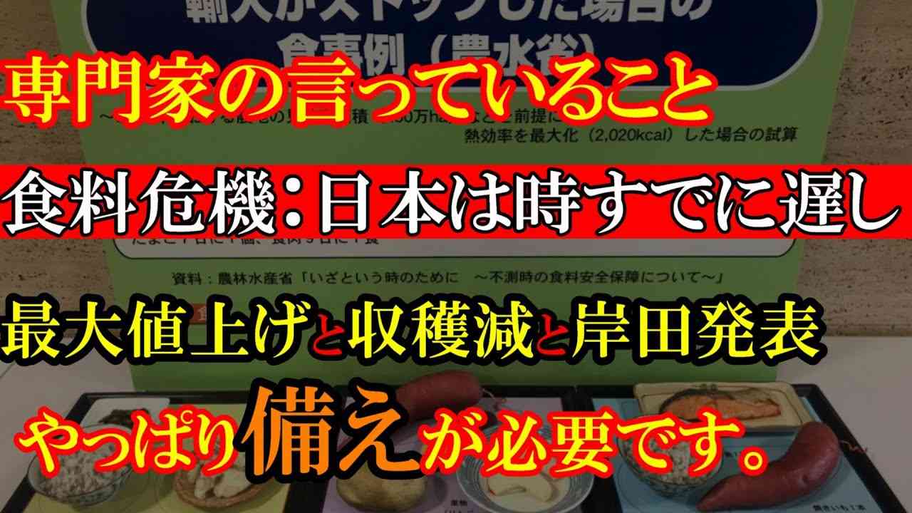 【食糧危機】専門家「日本は時すでに遅し」何か起きたら終わり。備蓄がんばります。 - YouTube