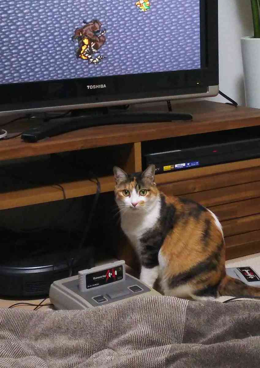 『ファミコン版初代ドラクエ』令和の現役高校生がやってみた結果…コントローラーを放り出した衝撃の理由とは